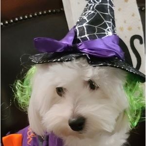 Trade for A Special friend 💞